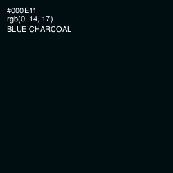 #000E11 - Blue Charcoal Color Image